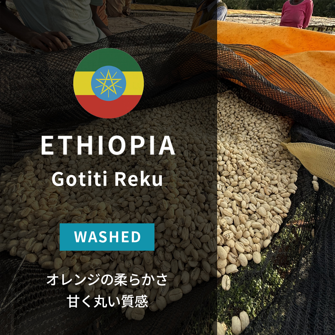 Ethiopia Gotiti Reku G2 Washed(24/25年クロップ) | ORIGIN COUNTRIES